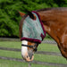 Draft Fly Mask with Fleece Trim - Dual Ear Holes - 73% UV Blocking - Equine Exchange Tack Shop
