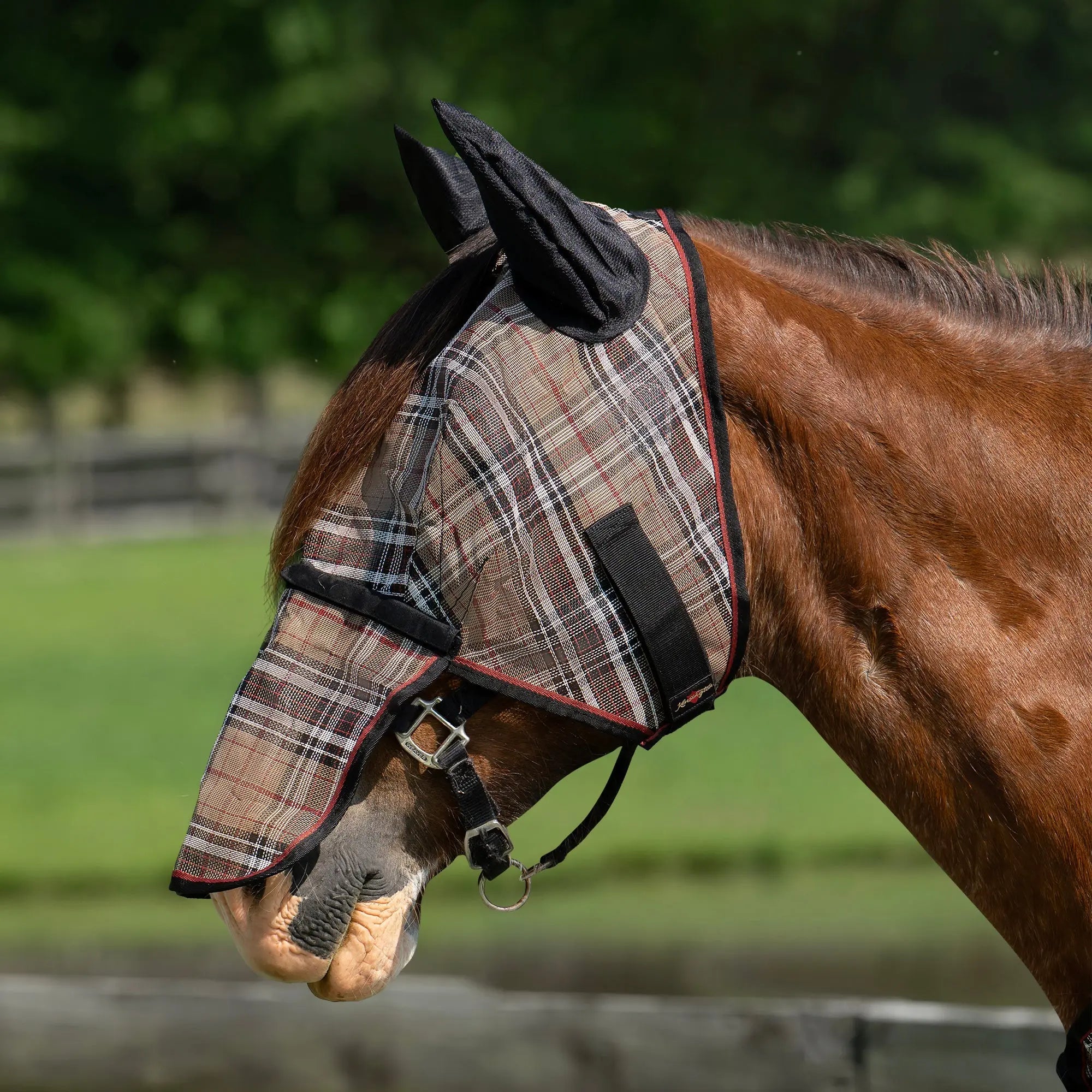 Draft Fly Mask with Removable Nose, Soft Mesh Ears & Forelock Opening - 73% UV Blocking - Equine Exchange Tack Shop