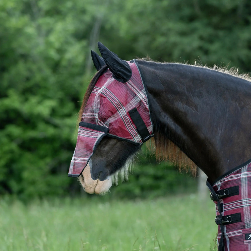 Draft Fly Mask with Removable Nose, Soft Mesh Ears & Forelock Opening - 73% UV Blocking - Equine Exchange Tack Shop