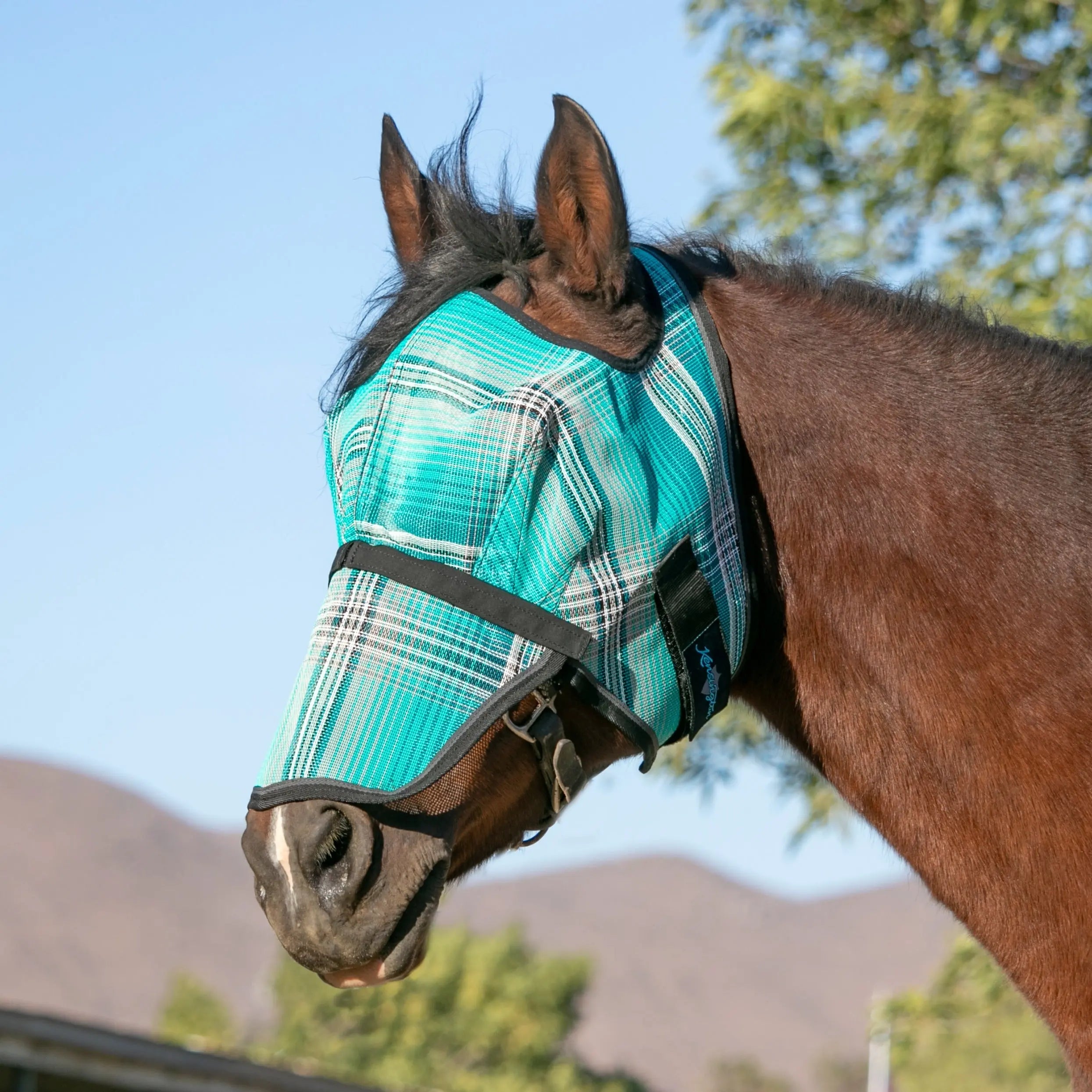 Fly Mask with Removable Nose - 73% UV Blocking - Equine Exchange Tack Shop