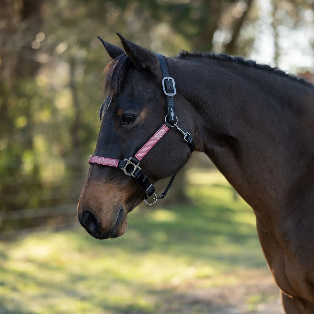 Premium Nylon Halter