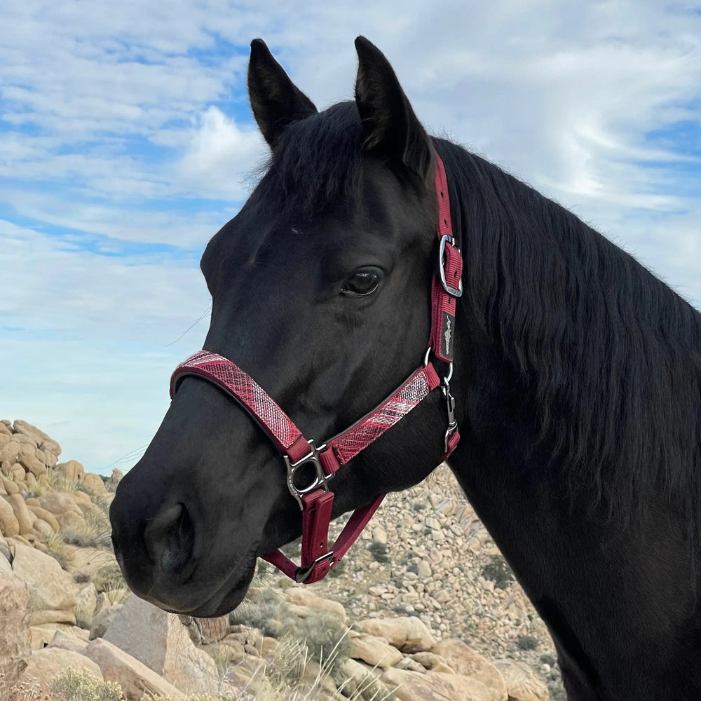 Premium Nylon Halter