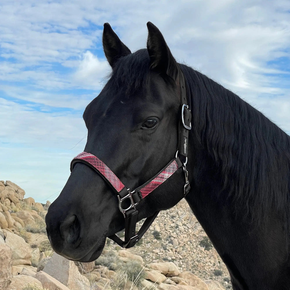 Premium Nylon Halter - Equine Exchange Tack Shop