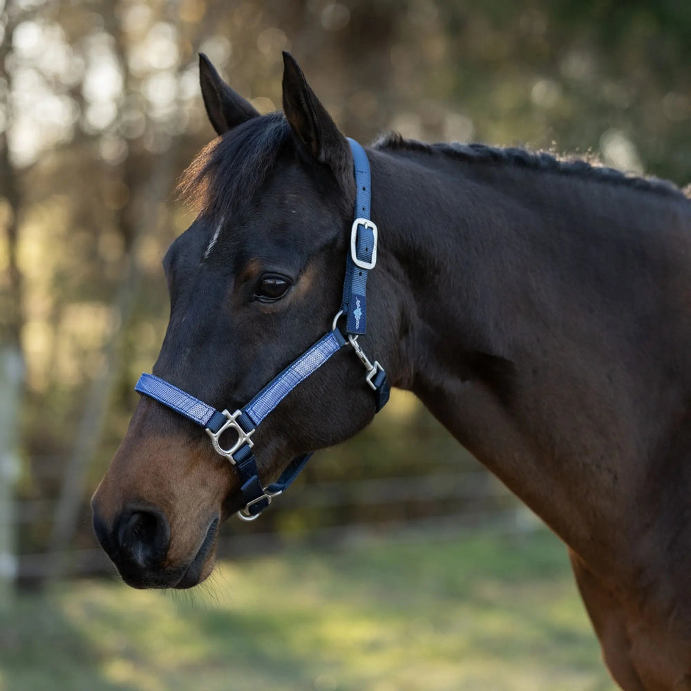 Premium Nylon Halter