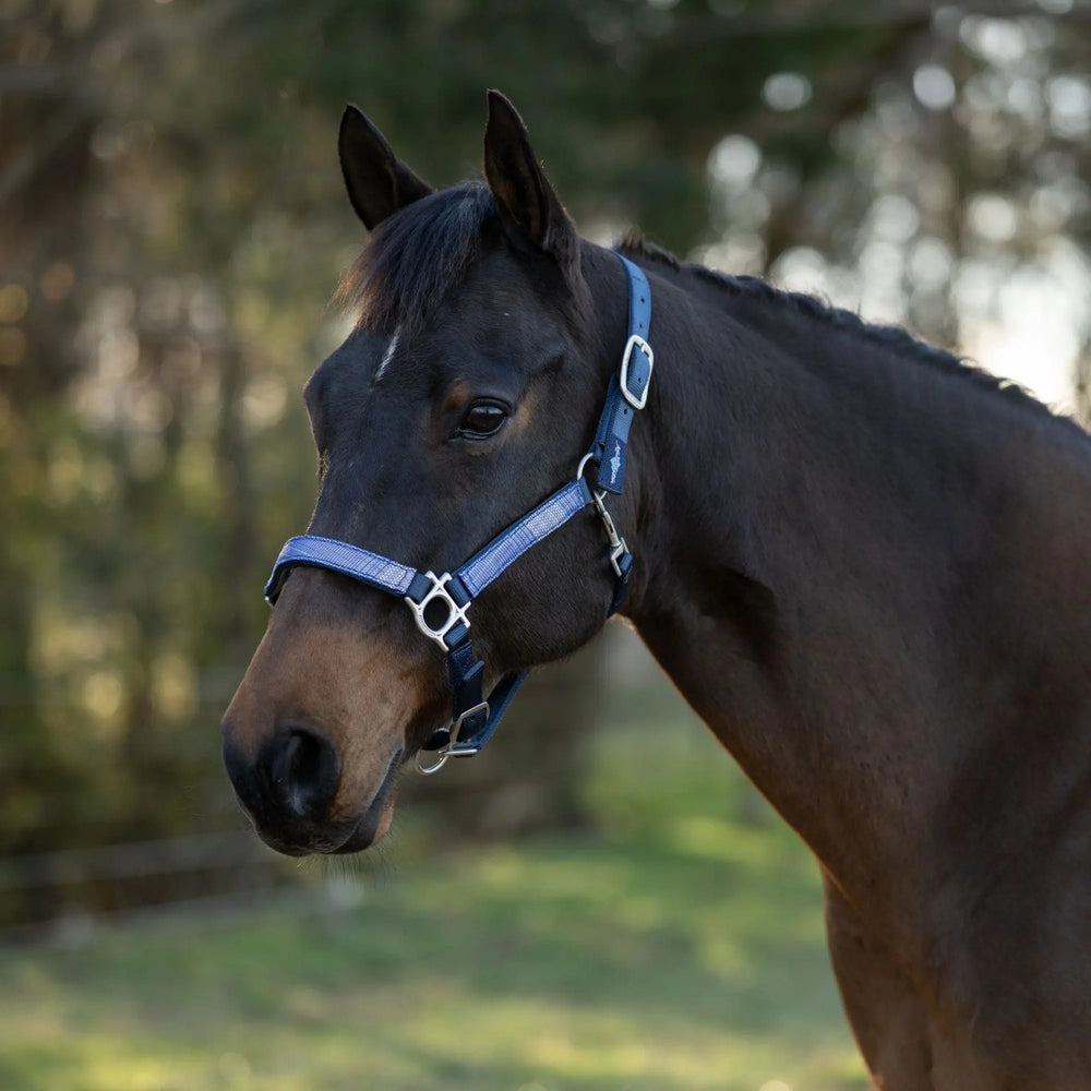 Premium Nylon Halter