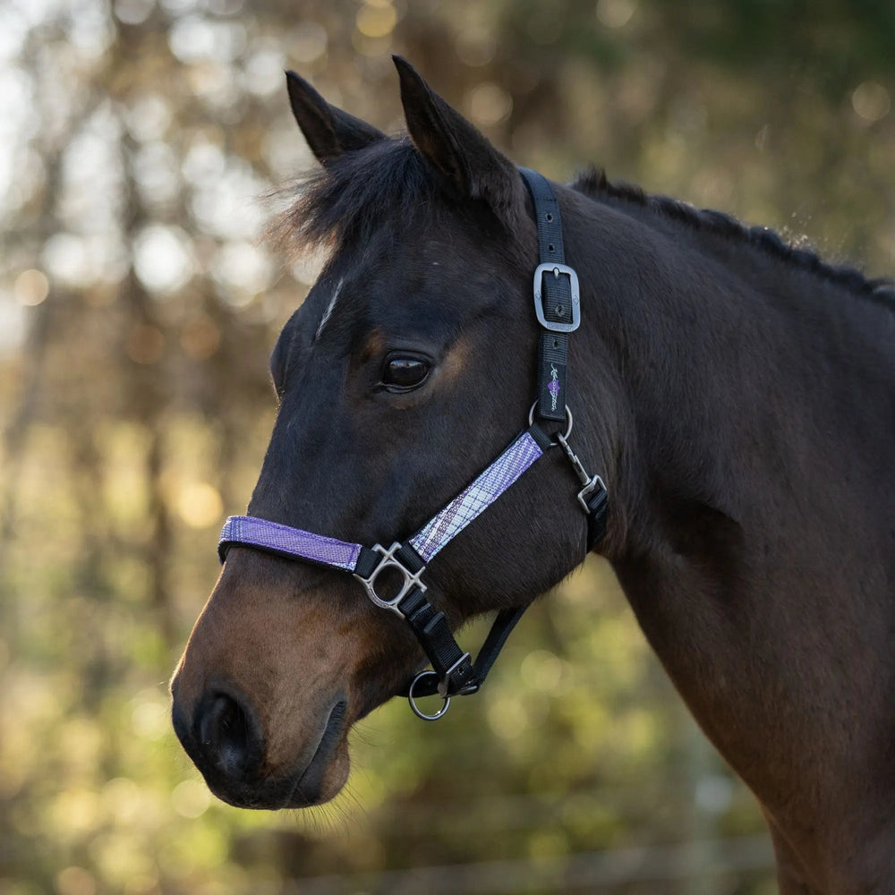 Premium Nylon Halter