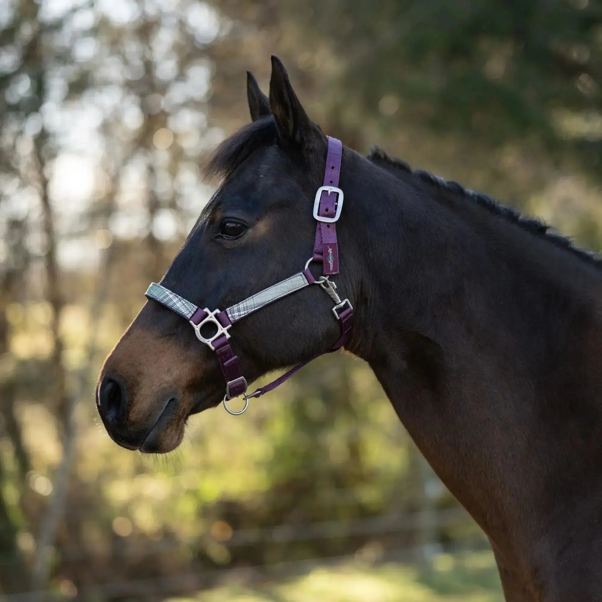 Premium Nylon Halter  