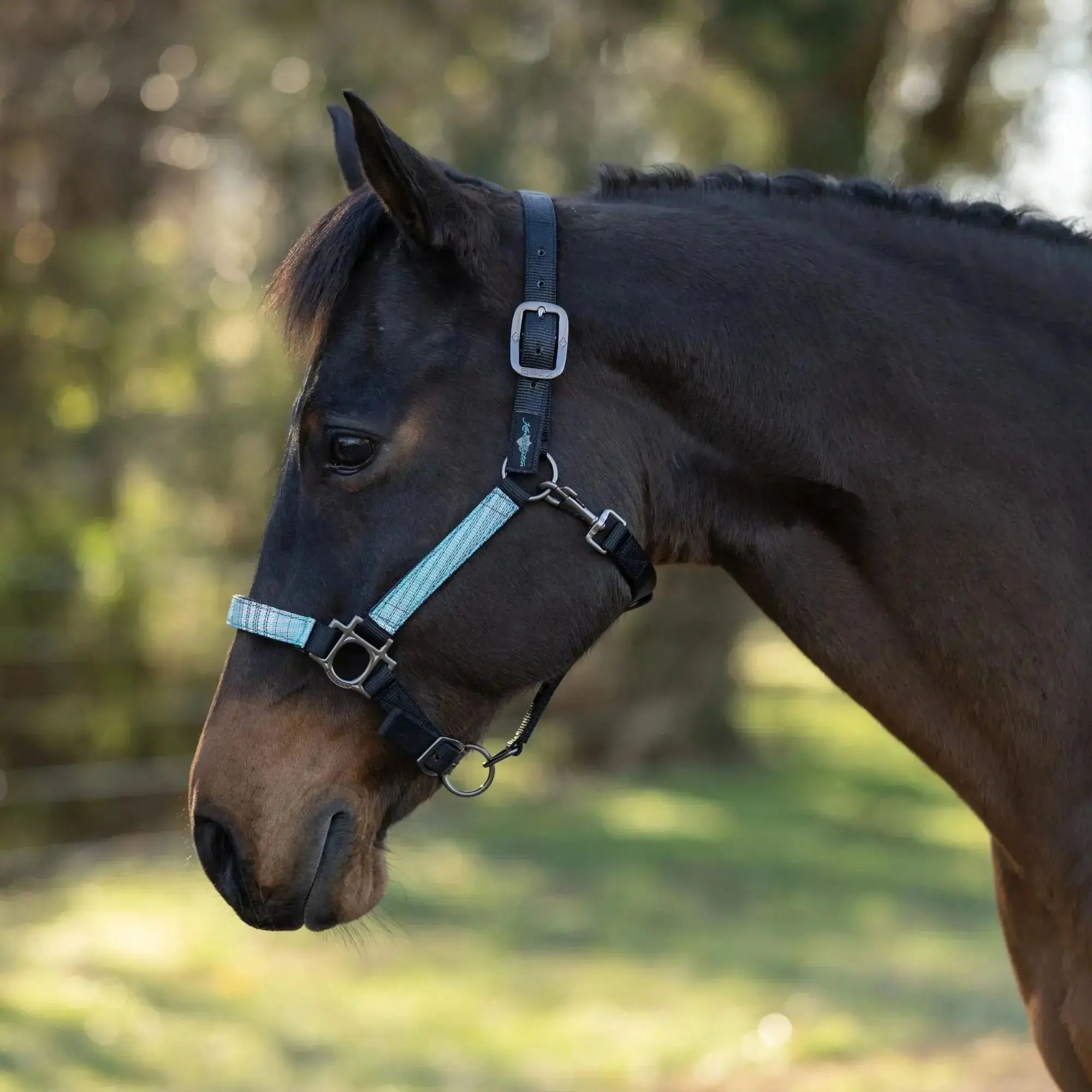 Premium Nylon Halter  