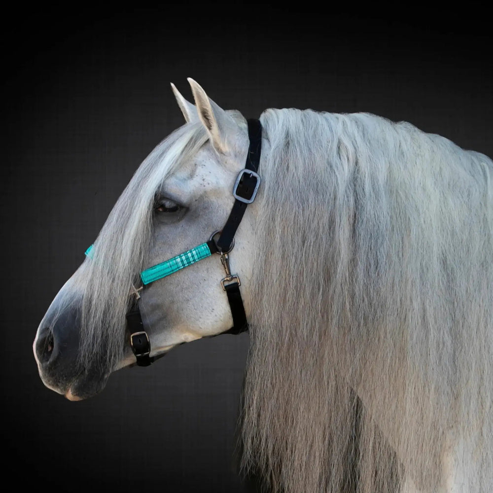 Premium Nylon Halter