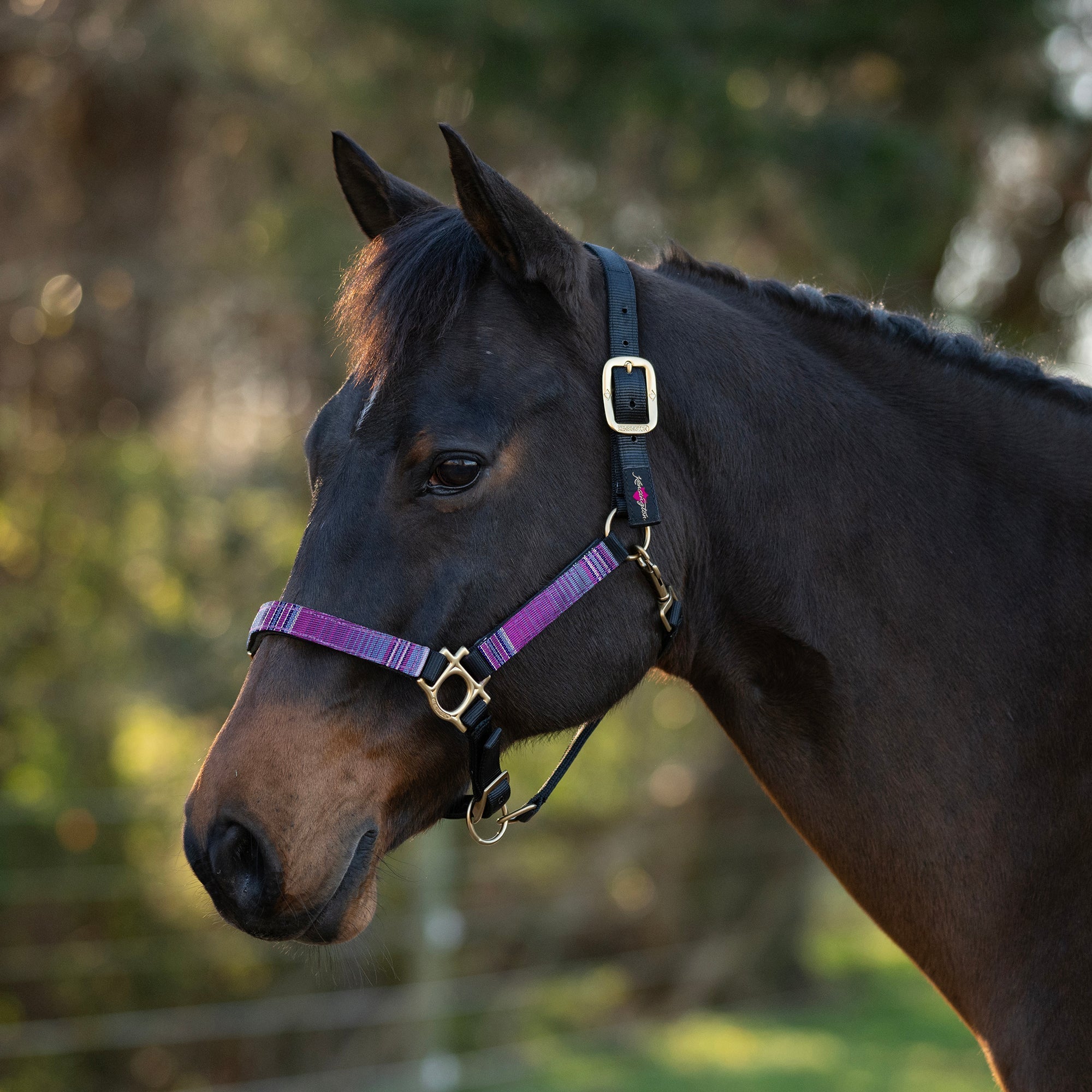 Premium Nylon Halter