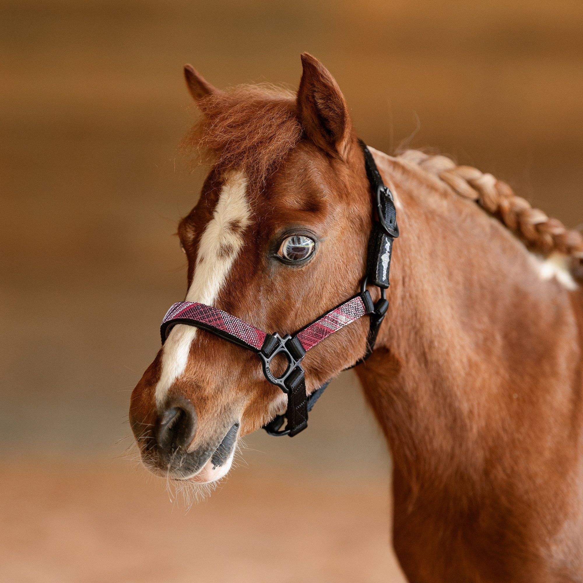 Premium Nylon Halter