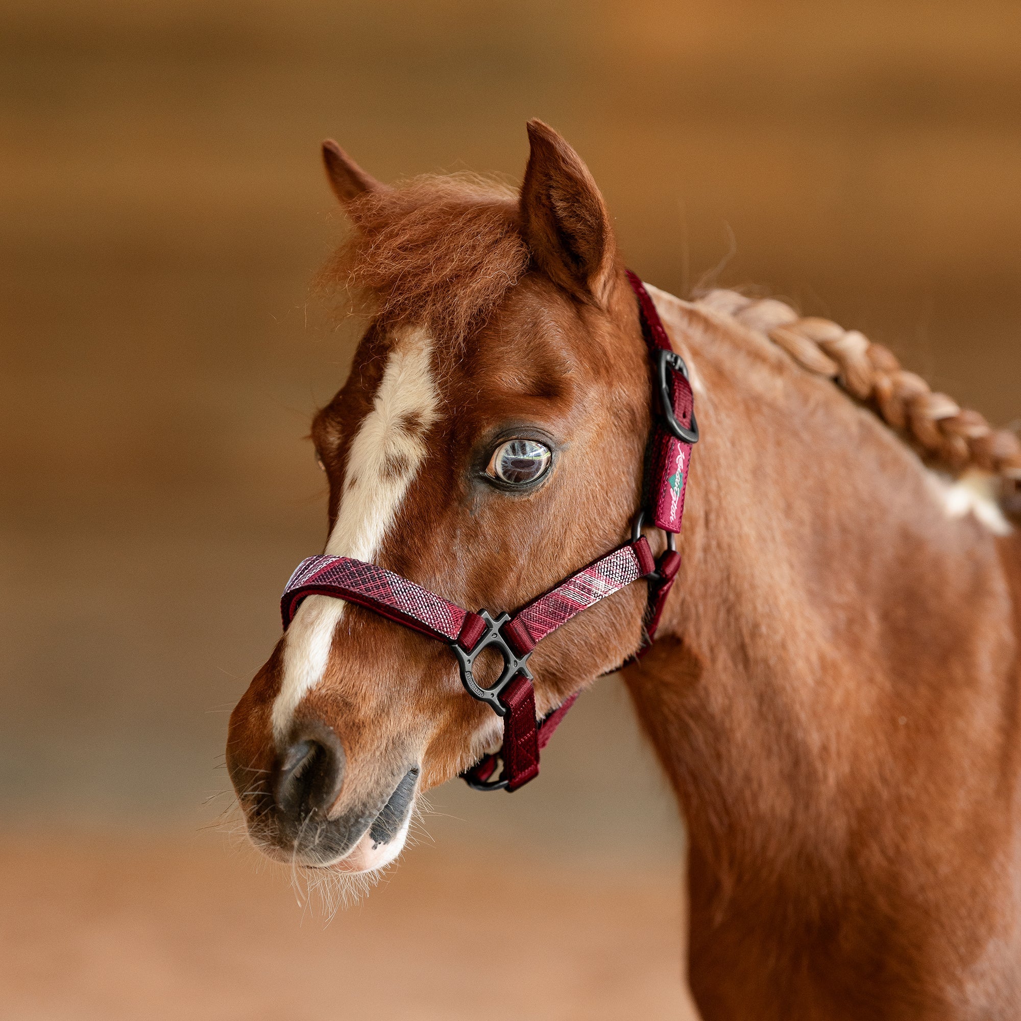 Premium Nylon Halter
