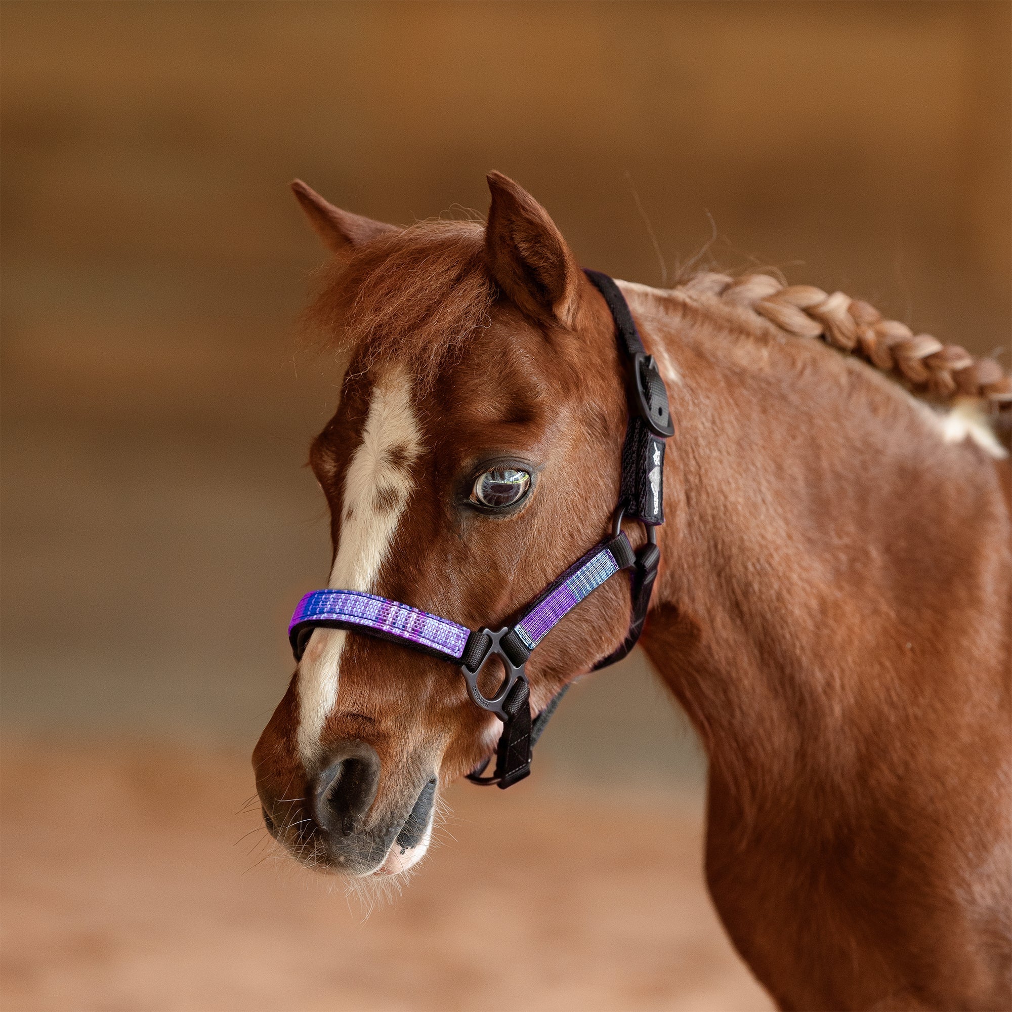 Premium Nylon Halter