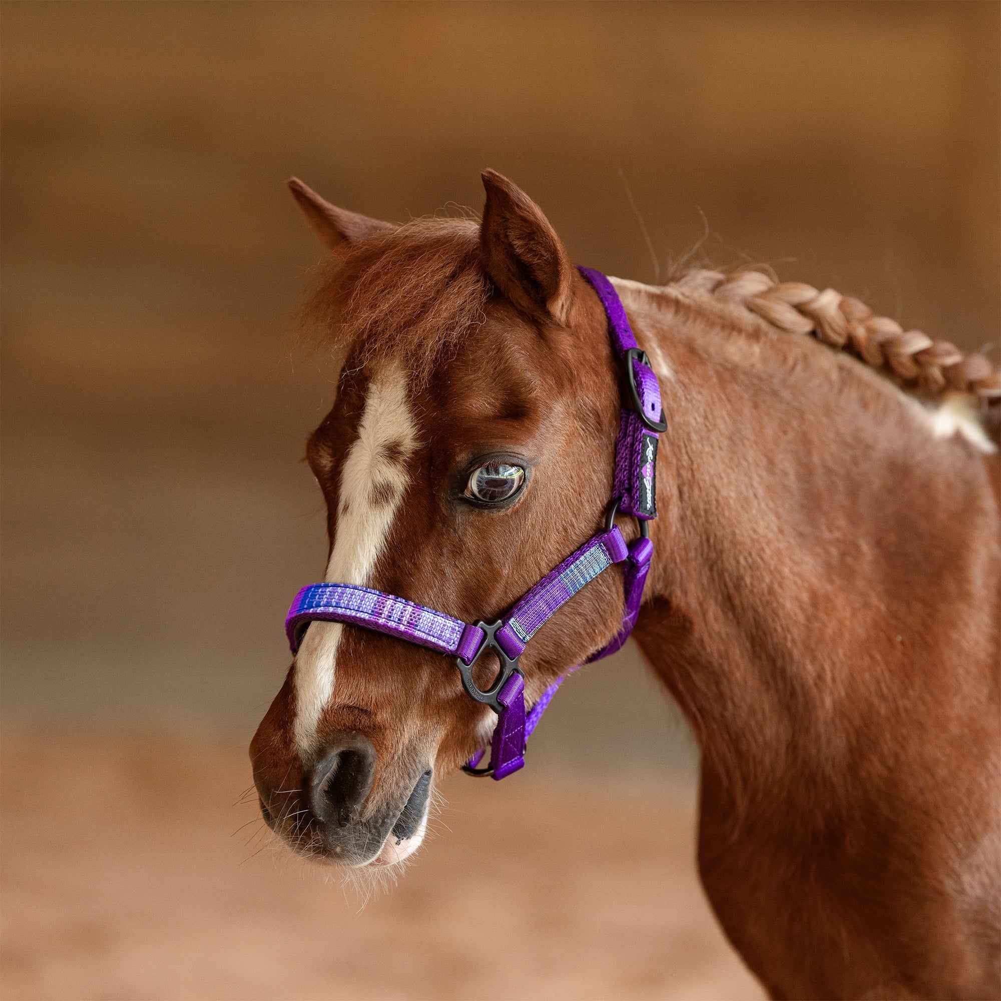 Premium Nylon Halter