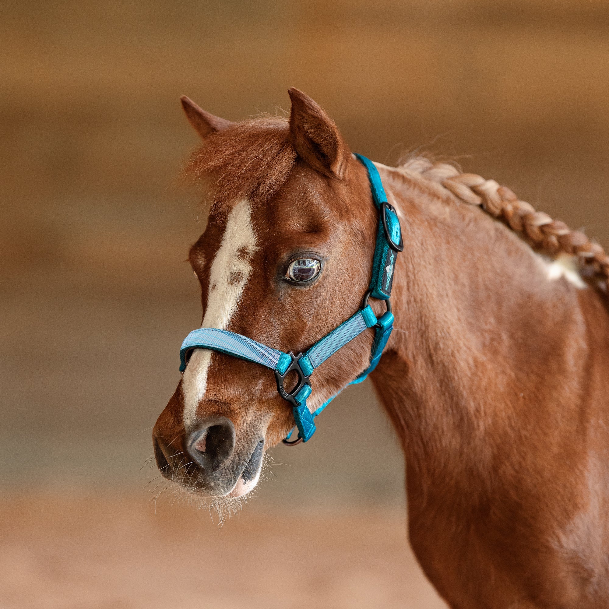 Premium Nylon Halter