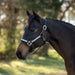 Premium Nylon Breakaway Halter  