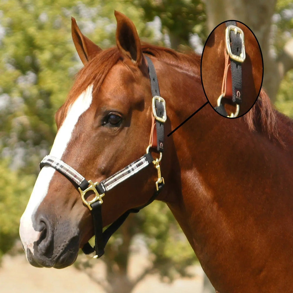 Premium Nylon Breakaway Halter - Equine Exchange Tack Shop