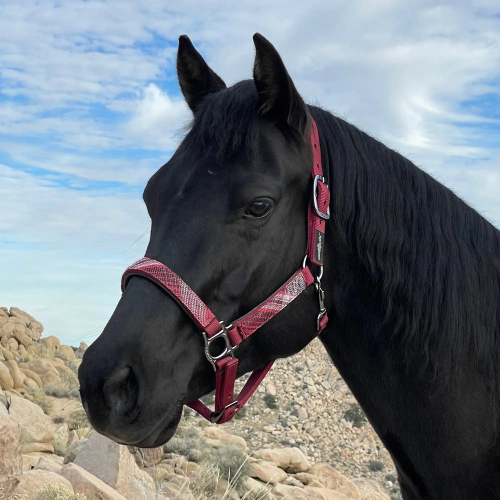 Premium Nylon Breakaway Halter - Equine Exchange Tack Shop