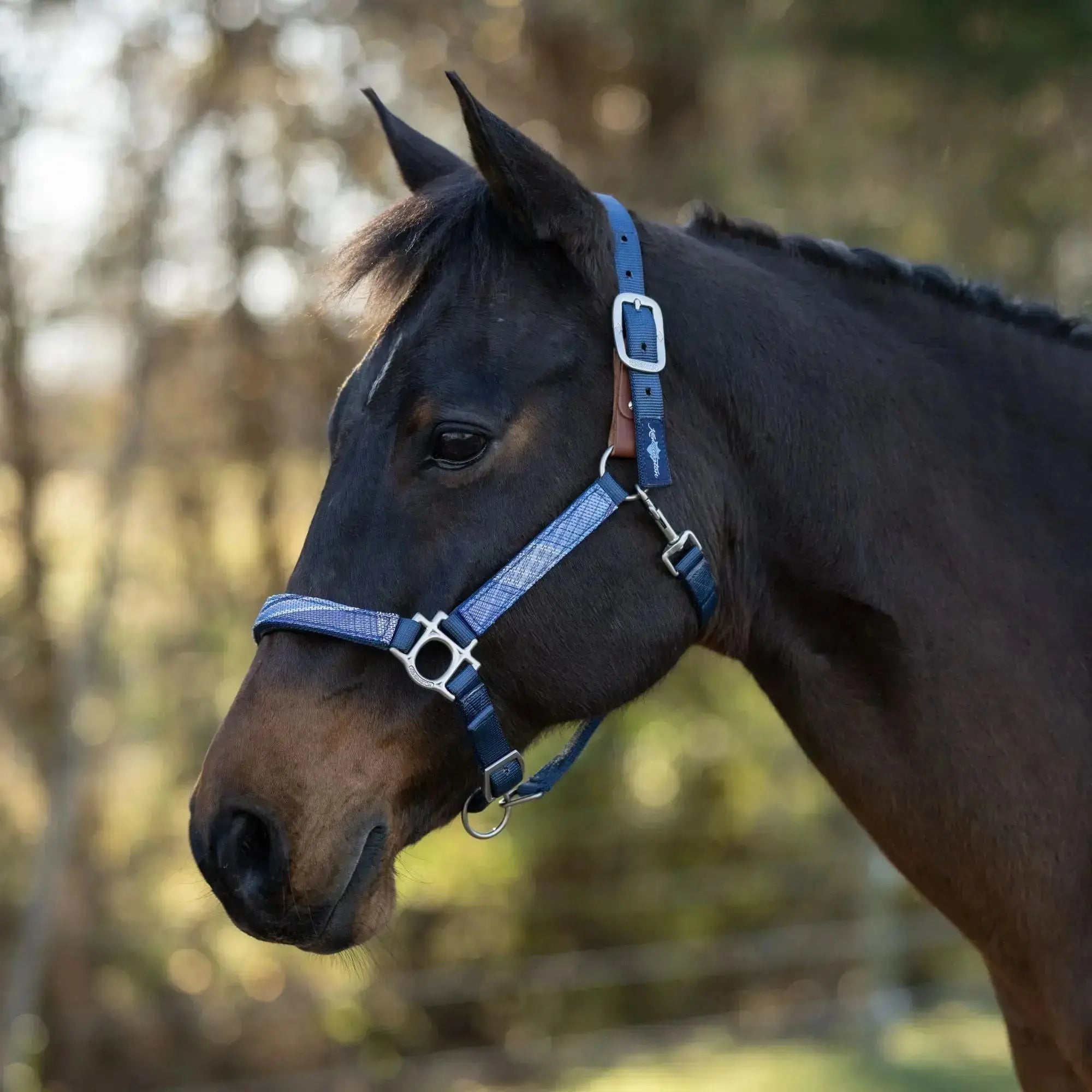 Premium Nylon Breakaway Halter  