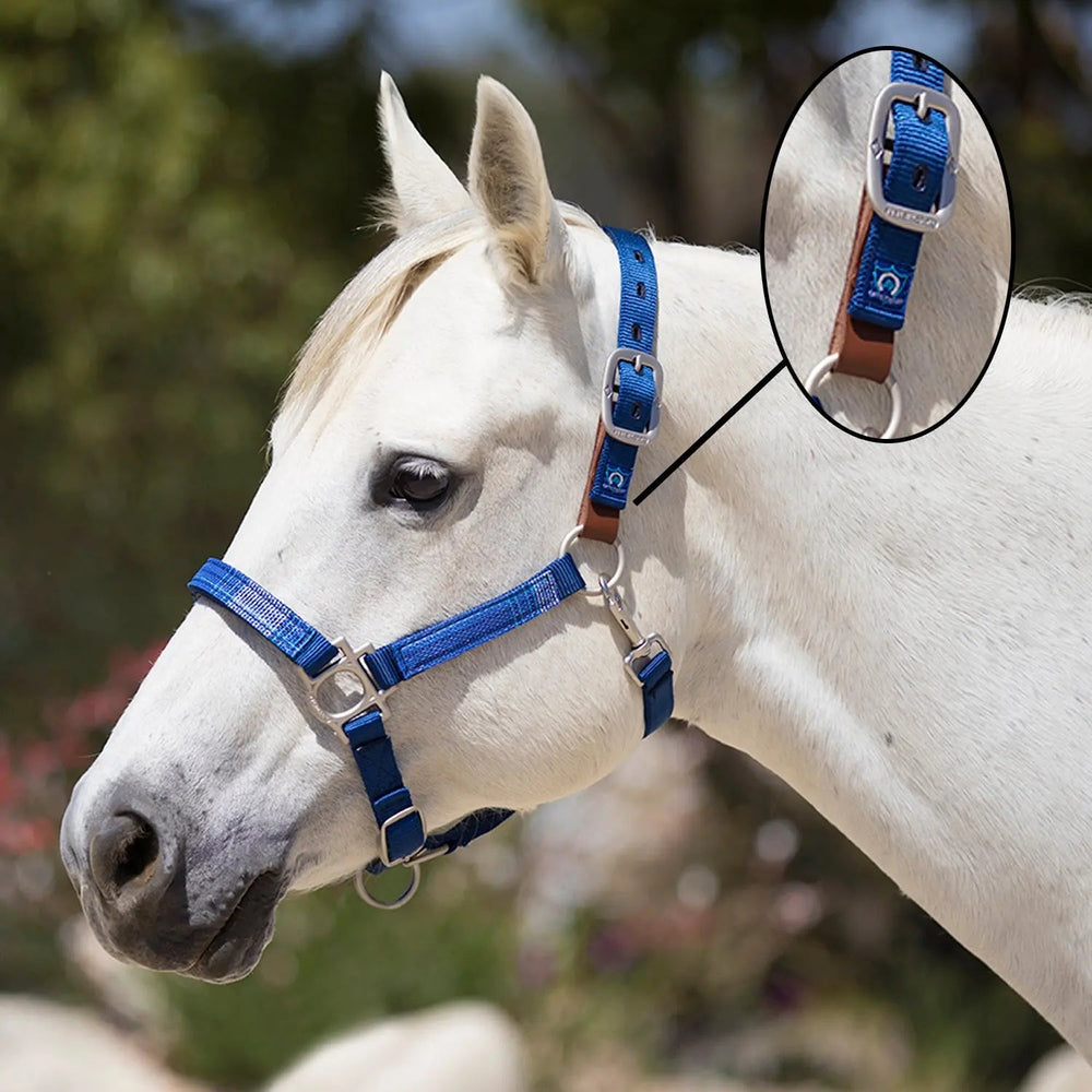 Premium Nylon Breakaway Halter - Equine Exchange Tack Shop