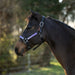 Premium Nylon Breakaway Halter  