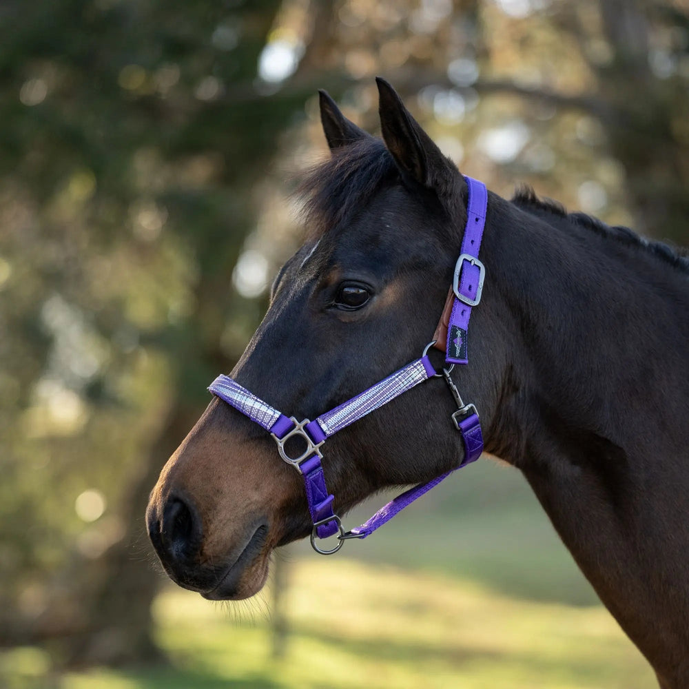 Premium Nylon Breakaway Halter