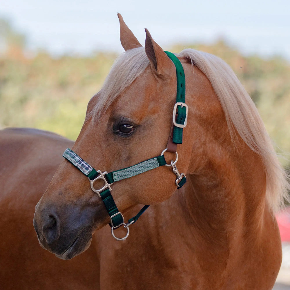 Premium Nylon Breakaway Halter - Equine Exchange Tack Shop