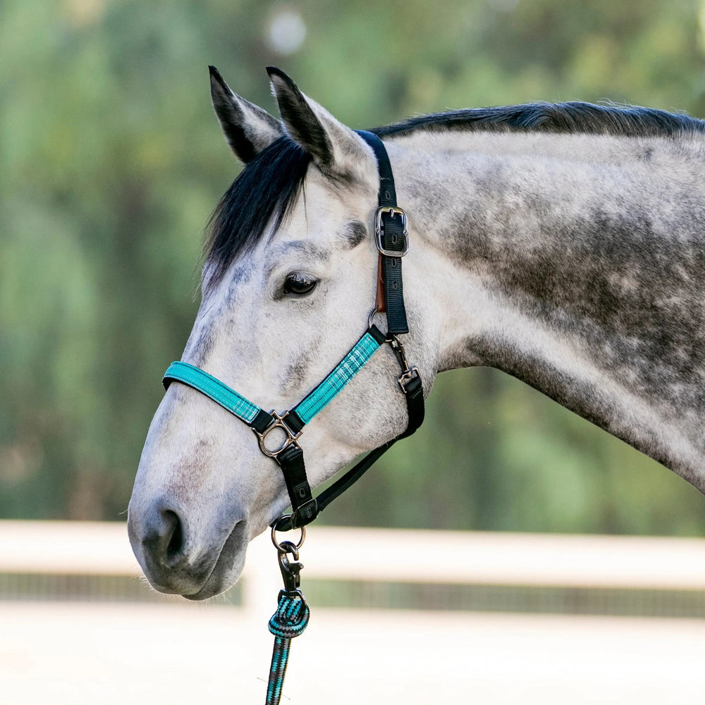 Premium Nylon Breakaway Halter - Equine Exchange Tack Shop