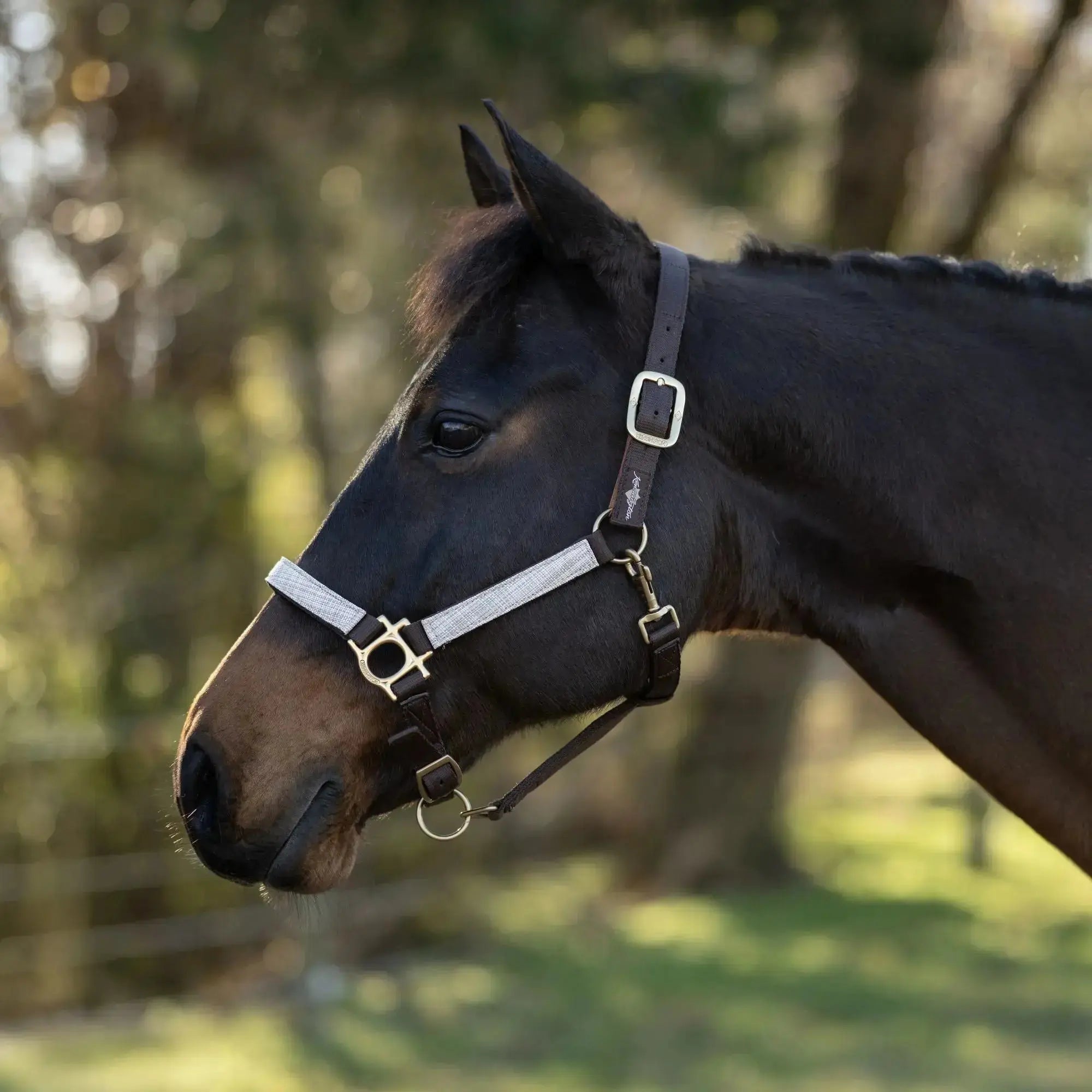 Premium Nylon Breakaway Halter  