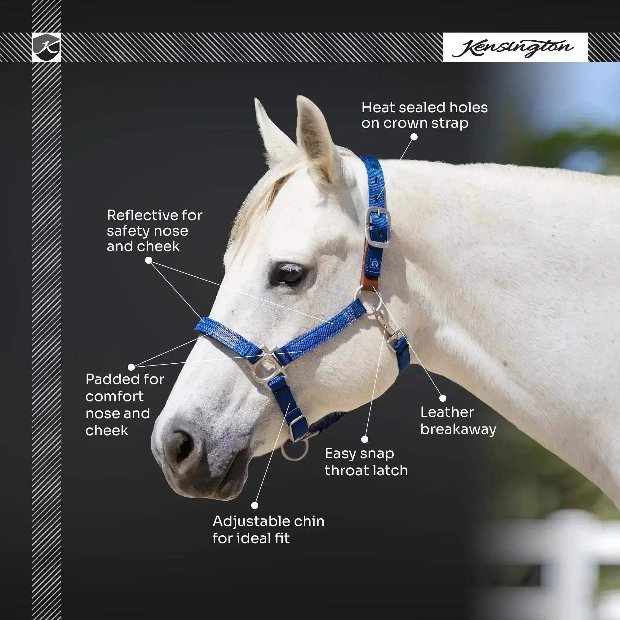 Premium Nylon Breakaway Halter  