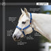 Premium Nylon Breakaway Halter  
