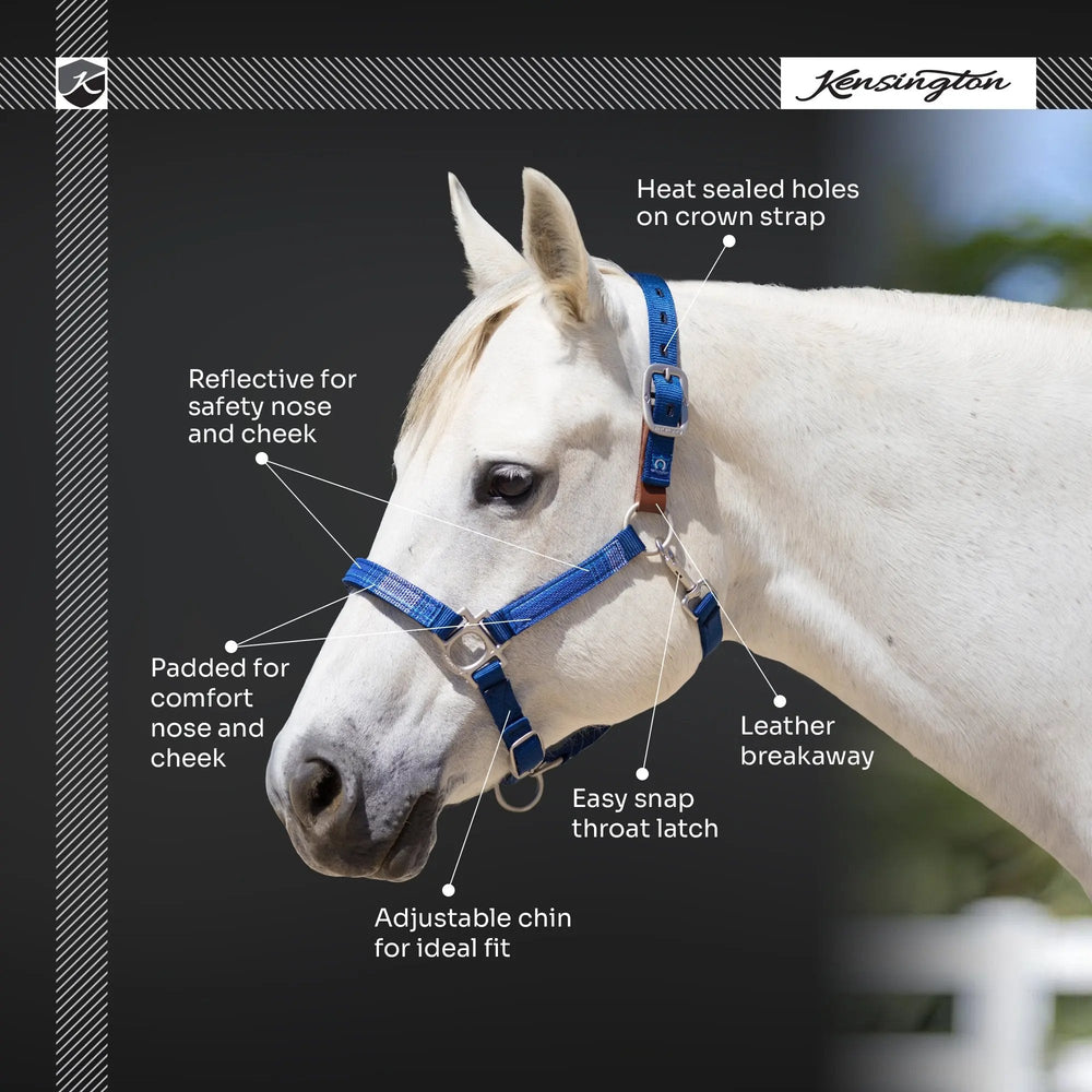 Premium Nylon Breakaway Halter - Equine Exchange Tack Shop