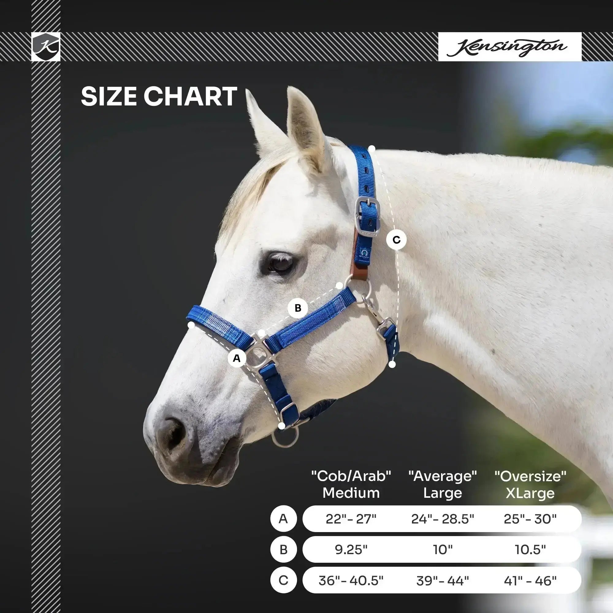 Premium Nylon Breakaway Halter  