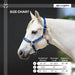 Premium Nylon Breakaway Halter  