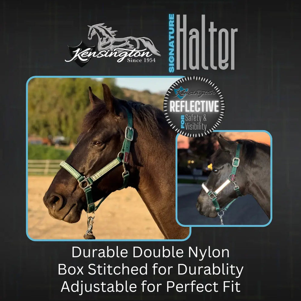 Premium Nylon Halter - Equine Exchange Tack Shop