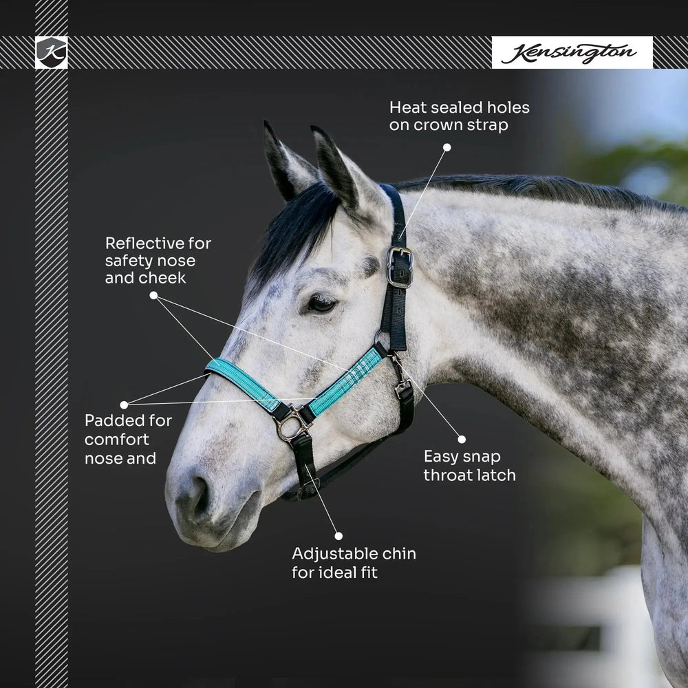 Premium Nylon Halter