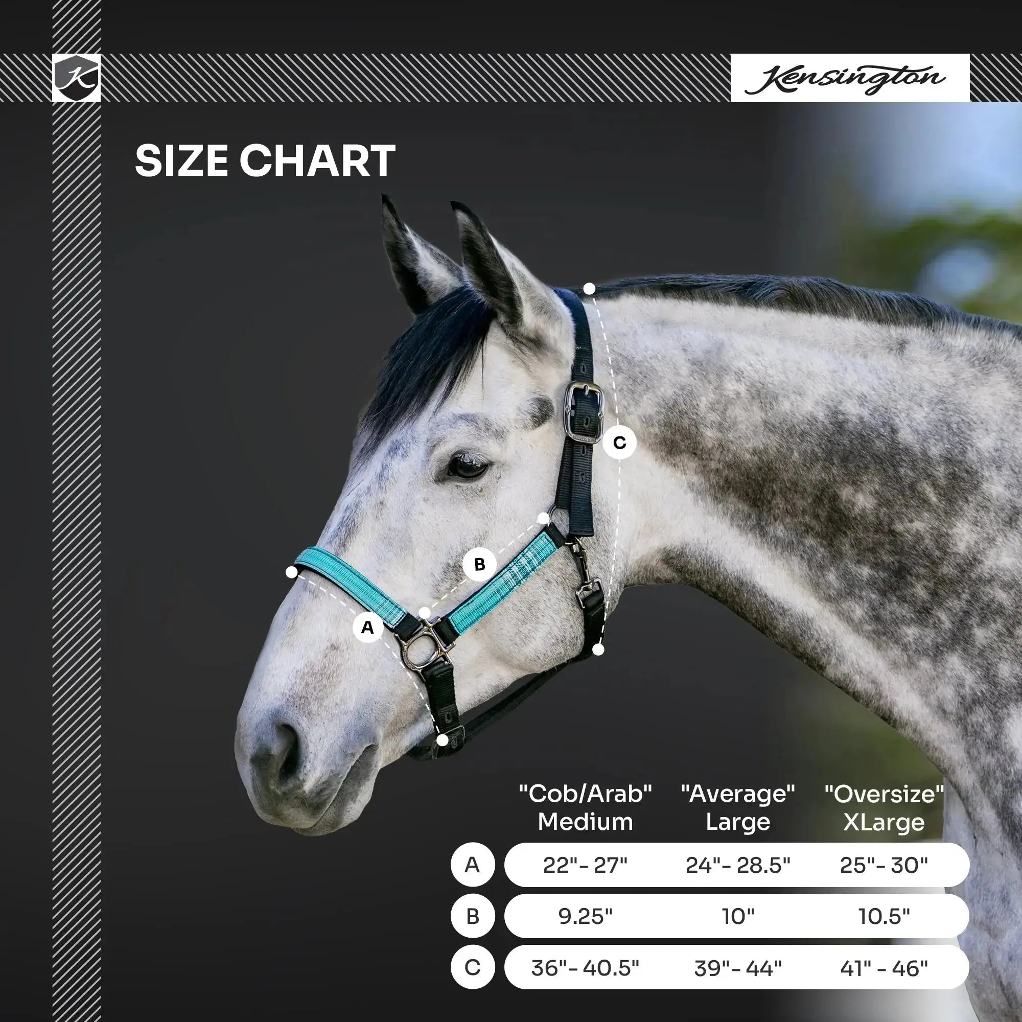 Premium Nylon Halter  