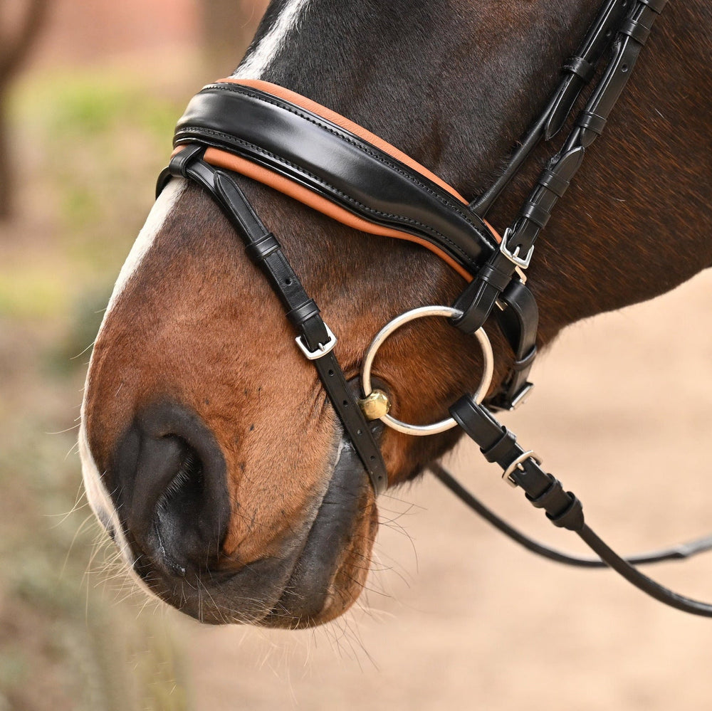 The Tuscany Black Leather Rolled Leather Snaffle Bridle with Removable Flash - Equine Exchange Tack Shop