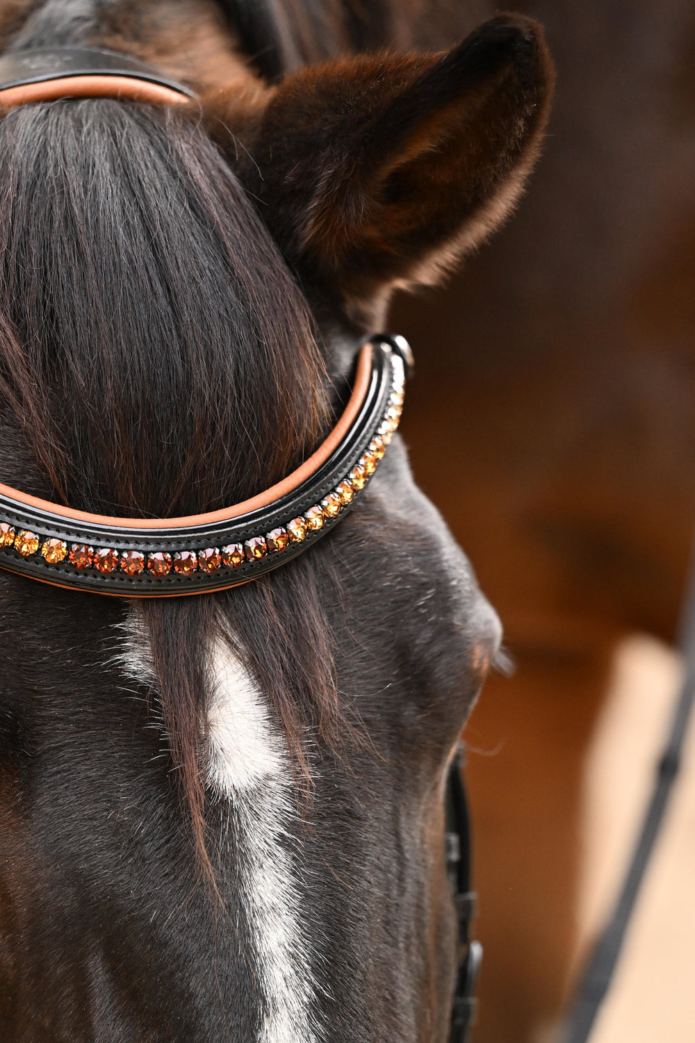 The Tuscany Black Leather Rolled Leather Snaffle Bridle with Removable Flash - Equine Exchange Tack Shop