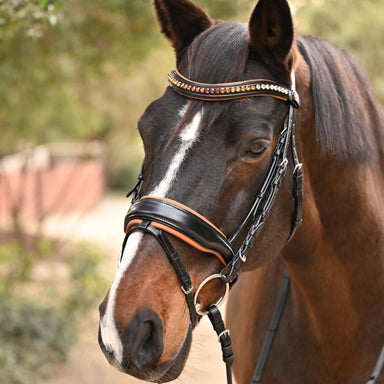 The Tuscany Black Leather Rolled Leather Snaffle Bridle with Removable Flash - Equine Exchange Tack Shop