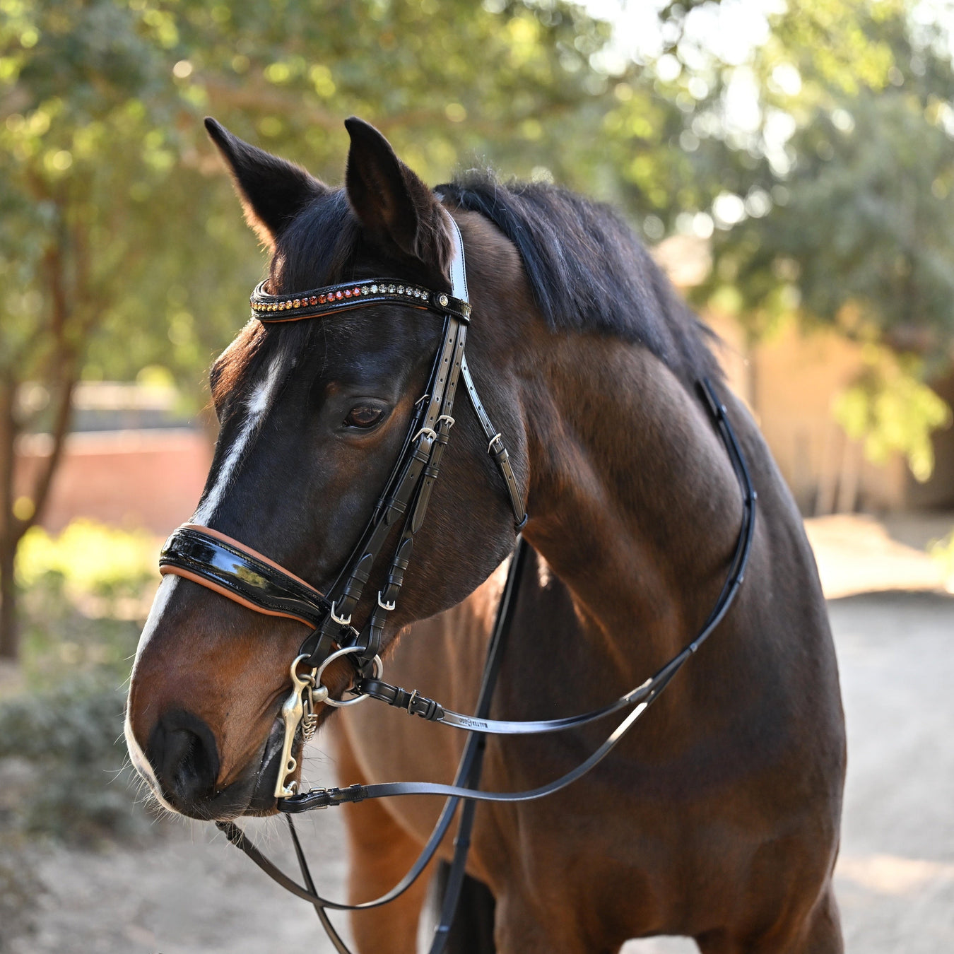 Bridles - Double  DNU