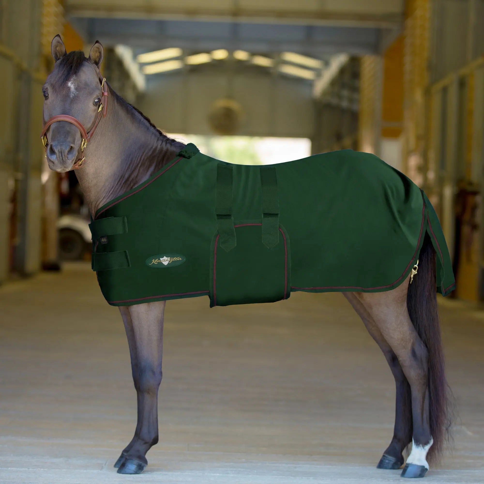 Mini Poly Cotton Stable Sheet - Equine Exchange Tack Shop