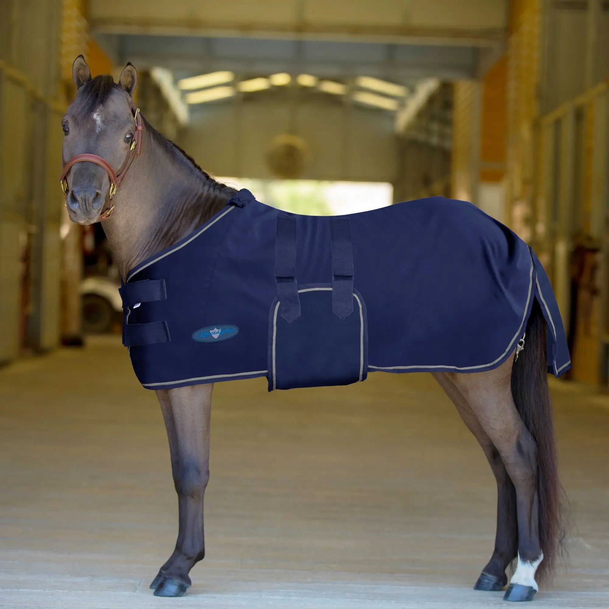 Mini Poly Cotton Stable Sheet - Equine Exchange Tack Shop