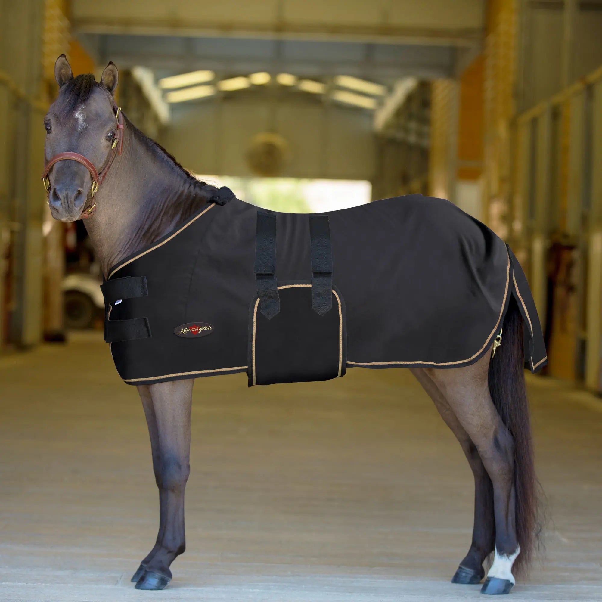 Mini Poly Cotton Stable Sheet - Equine Exchange Tack Shop