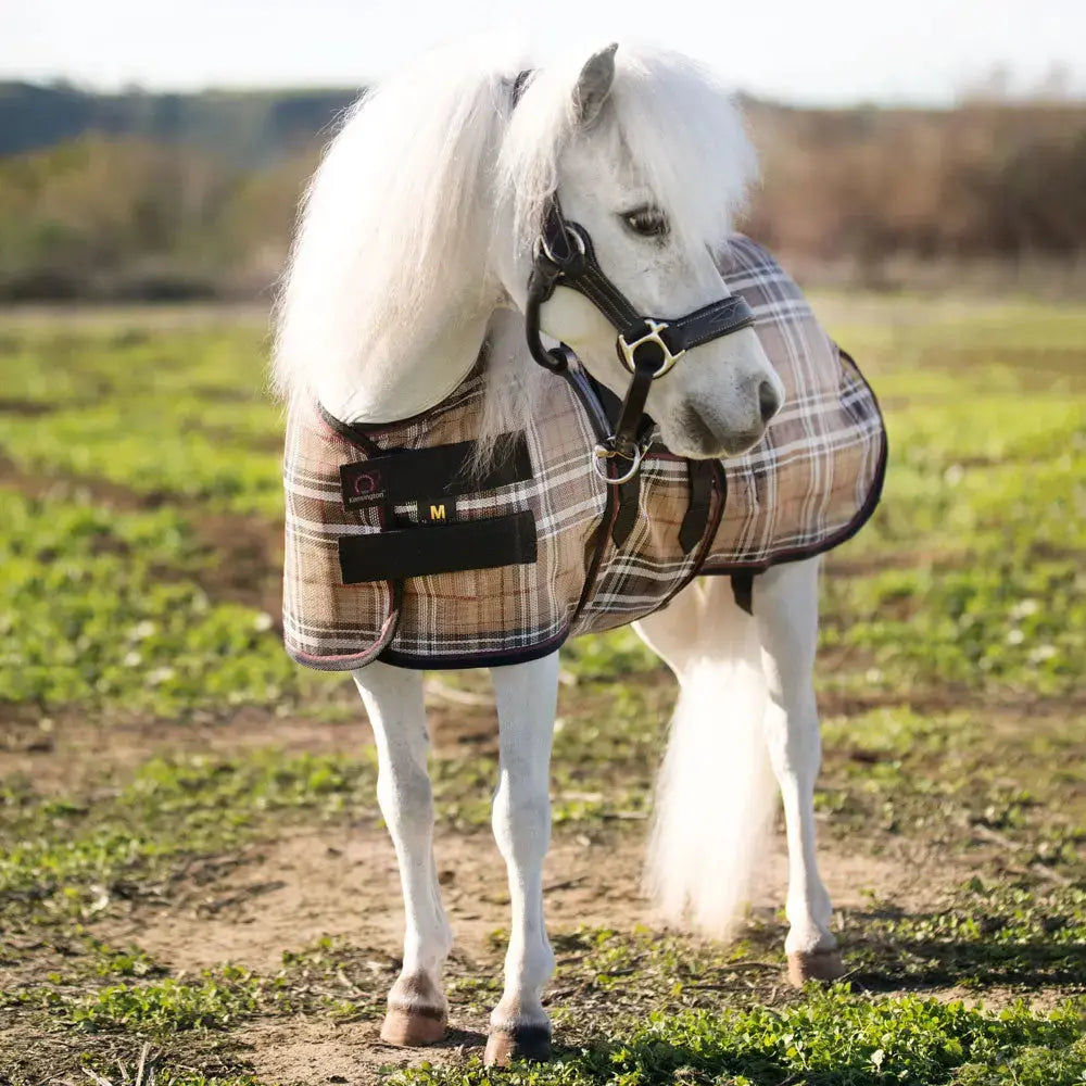 Mini Protective Fly Sheet with Belly Band - 73% UV Blocking - Equine Exchange Tack Shop