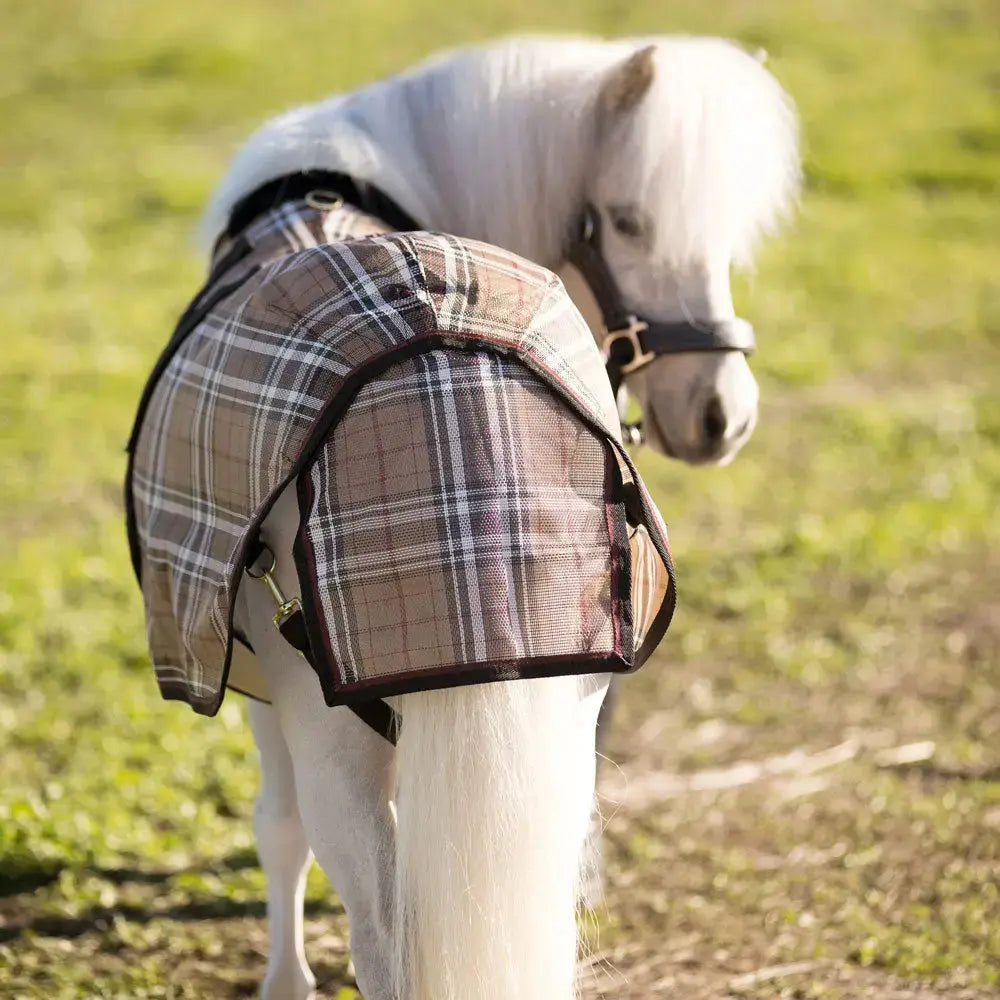 Mini Protective Fly Sheet with Belly Band - 73% UV Blocking - Equine Exchange Tack Shop