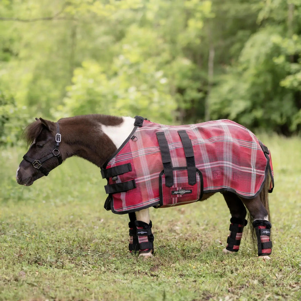 Mini Protective Fly Sheet with Belly Band - 73% UV Blocking - Equine Exchange Tack Shop