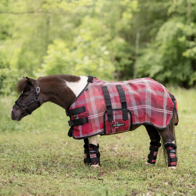 Mini Protective Fly Sheet with Belly Band - 73% UV Blocking - Equine Exchange Tack Shop