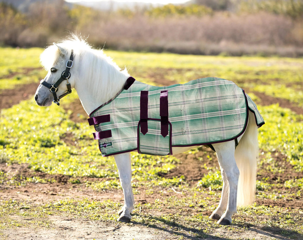 Mini Protective Fly Sheet with Belly Band - 73% UV Blocking - Equine Exchange Tack Shop