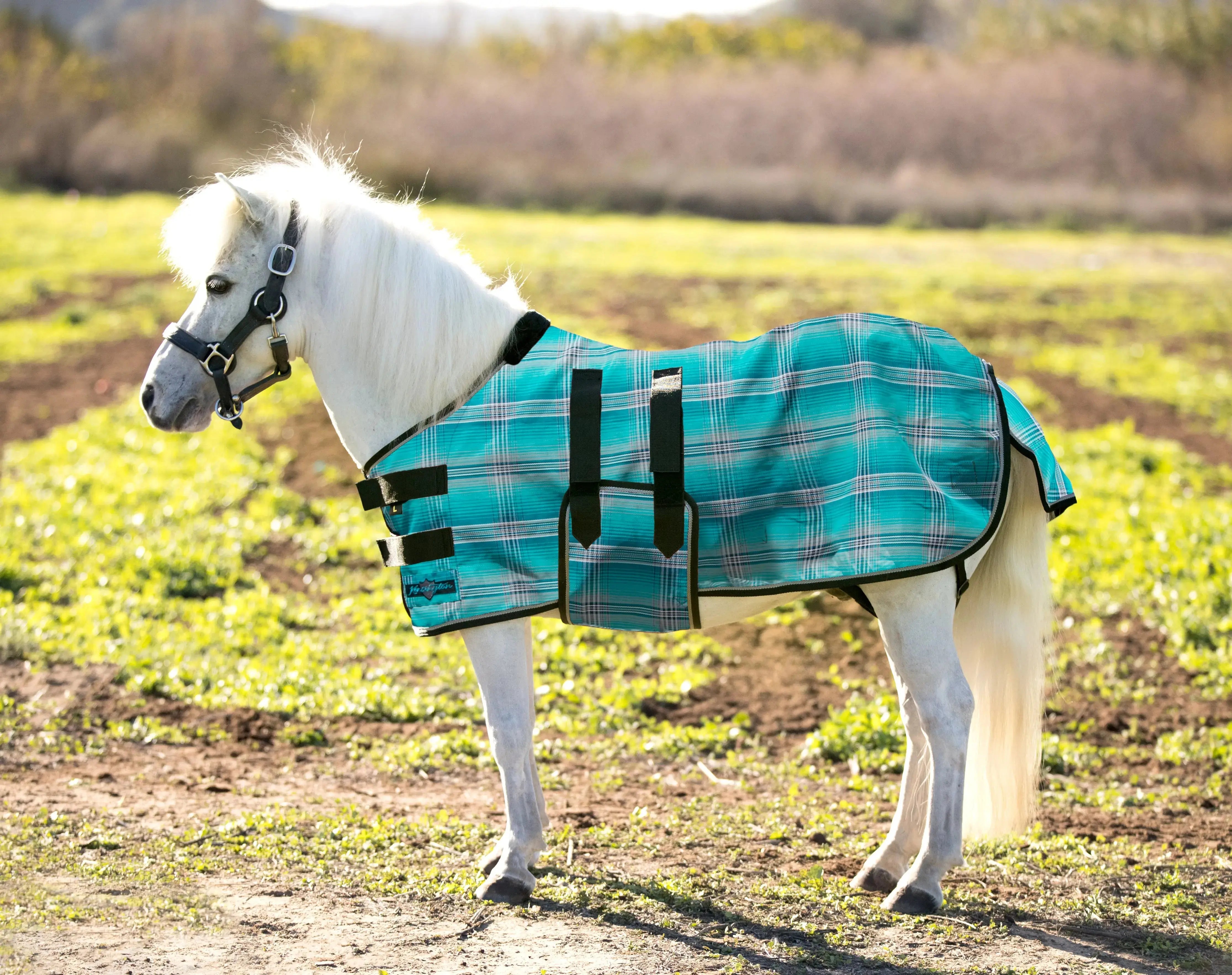 Mini Protective Fly Sheet with Belly Band - 73% UV Blocking - Equine Exchange Tack Shop